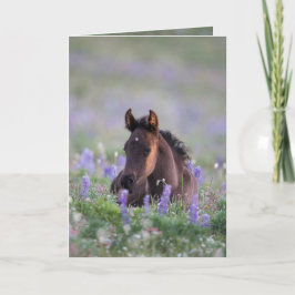 Grußkarte Wildes Pferd - Füllen Sie die Lupine Karte