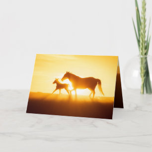 Grußkarte Wildes Pferd - Hoffnung Dankeskarte