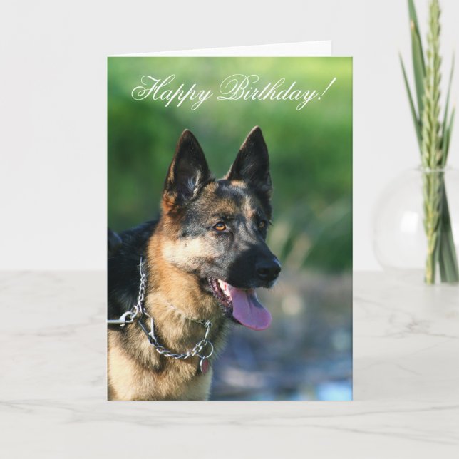 Grußkarte zum Geburtstag des Deutschen Hirten Karte (Vorderseite)