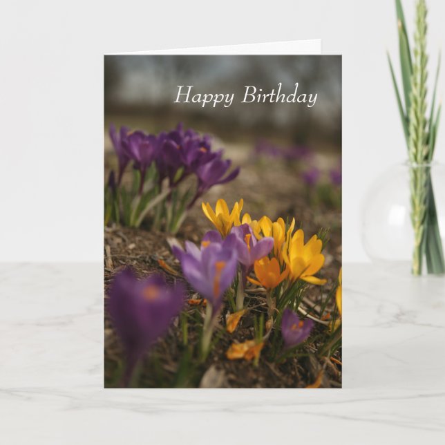 Grußkarte zum Geburtstag Karte (Vorderseite)