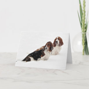 Grußkarten der Reihe "Basset Hounds in the Wild" Karte