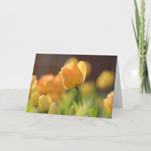 Grußkarten - Frühlingsgelbe Blüte Karte