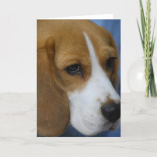 Grußkarten für niedliche Beagle Karte