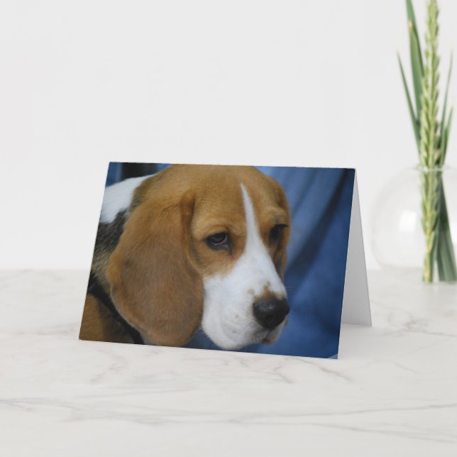 Grußkarten für niedliche Beagle Karte (Vorderseite)