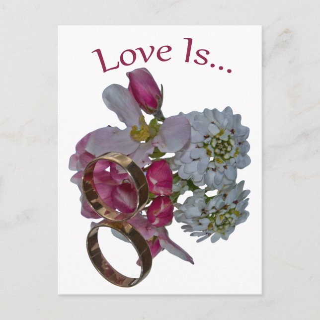 Grußkarten . Liebe ist... Postkarte (Vorderseite)