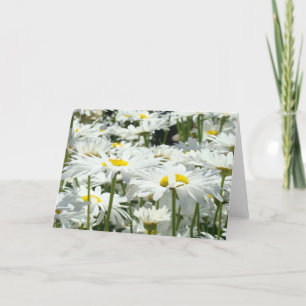 Grußkarten nach Maß Weiße Daisy Blume Blumenmuster Karte