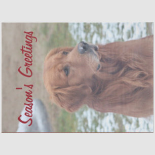 Grußwortpapier der großen Hundesaison Seidenpapier
