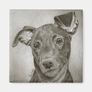 Gryhound Pup Magnet - "Waffle"