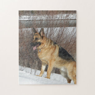 GSD im Winter-Schnee