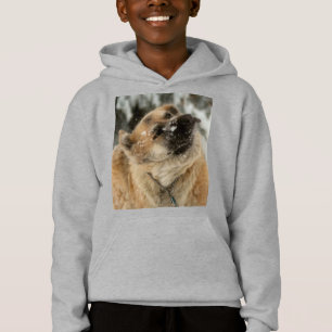 GSD-Shake Hoodie