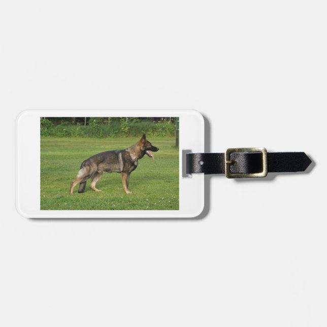 gsd voll gepäckanhänger (Vorderseite horizontal)