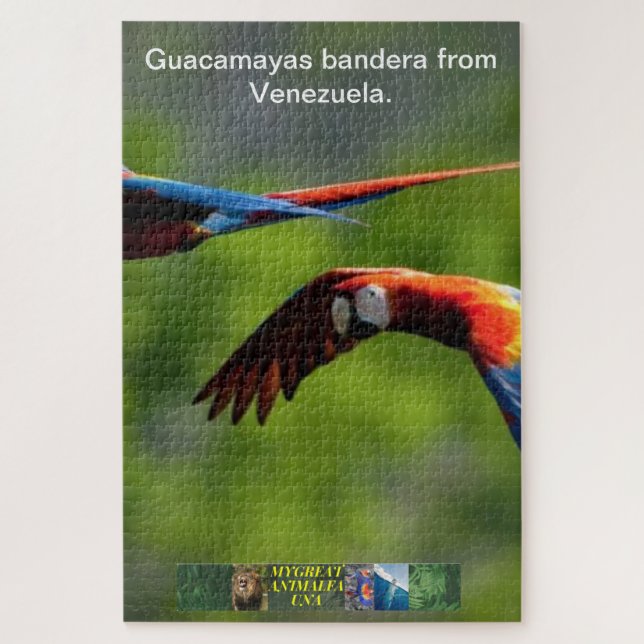 Guacamayas bandera du puzzle vénézuélien. (Vertical)