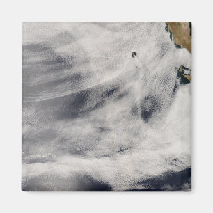 Guadalupe-Insel Magnet