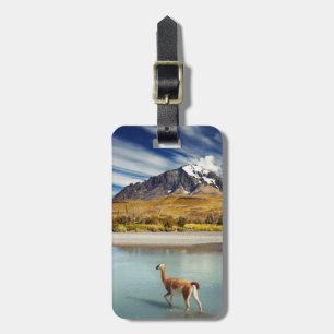 Guanaco, der den Fluss in Torres Del Paine kreuzt Gepäckanhänger