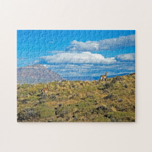 Guanaco-Land, Patagonia (Horizontal)