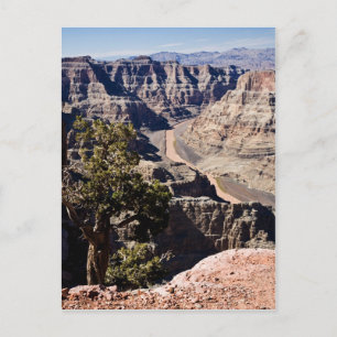 Guano Point -postcardcopy Postkarte