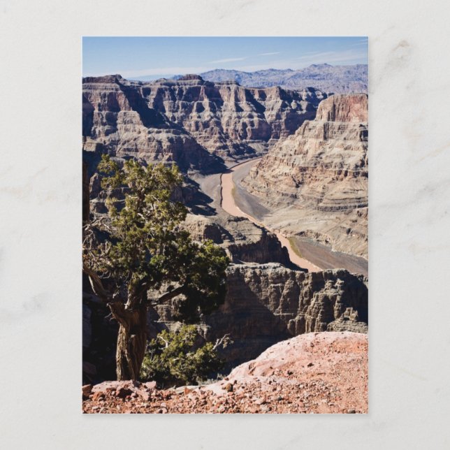 Guano-Punkt - postcardcopy Postkarte (Vorderseite)