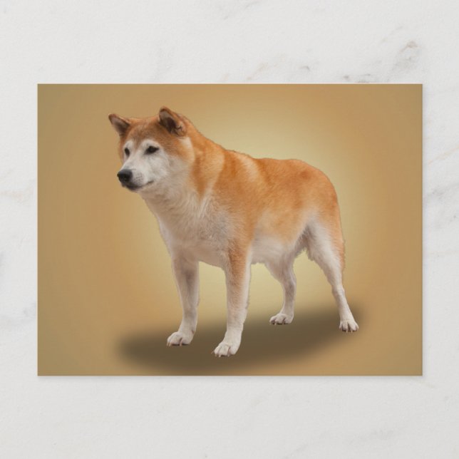 GUARDIAN POSTKARTE (Vorderseite)