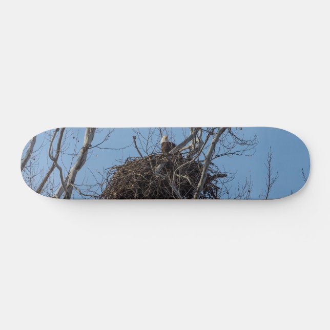 Guarding Eagle Skateboard (Horizontal)