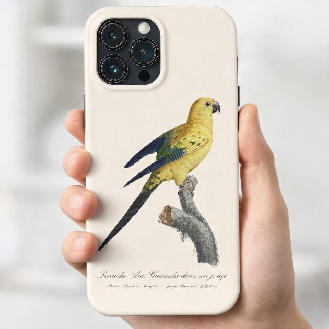 Guarouba dans söhns jüdisches Alter / Sonnenparake Case-Mate iPhone Hülle (Guarouba dans sons jeune age / Sun parakeet. iPhone 13 Pro Max Case)