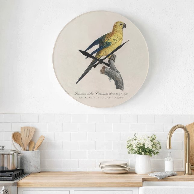 Guarouba dans söhns jüdisches Alter / Sonnenparake Große Wanduhr (Guarouba dans sons jeune age / Sun parakeet. Large Clock)