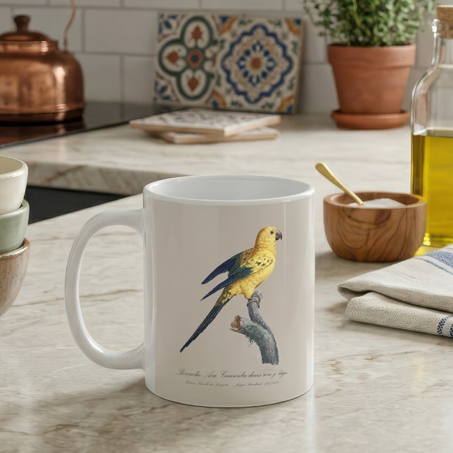 Guarouba dans söhns jüdisches Alter / Sonnenparake Kaffeetasse (Guarouba dans sons jeune age / Sun parakeet. Coffee Mug)