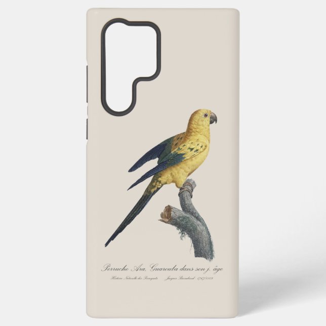 Guarouba dans söhns jüdisches Alter / Sonnenparake Samsung Galaxy Hülle (Rückseite)