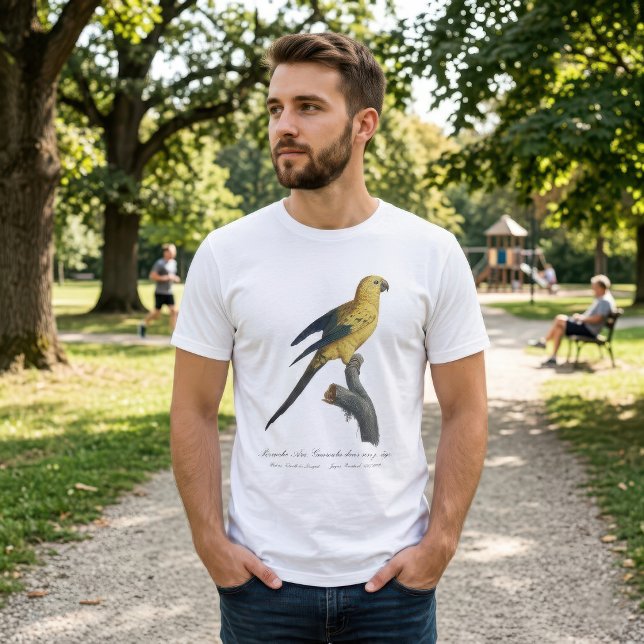 Guarouba dans söhns jüdisches Alter / Sonnenparake T-Shirt (Guarouba dans sons jeune age / Sun parakeet. Men Basic White T-Shirt)