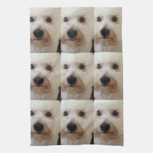 "Gucci" un Bichon Frise - serviette de cuisine