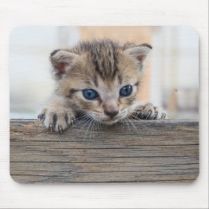 Guck-mal-Schnurr Mousepad