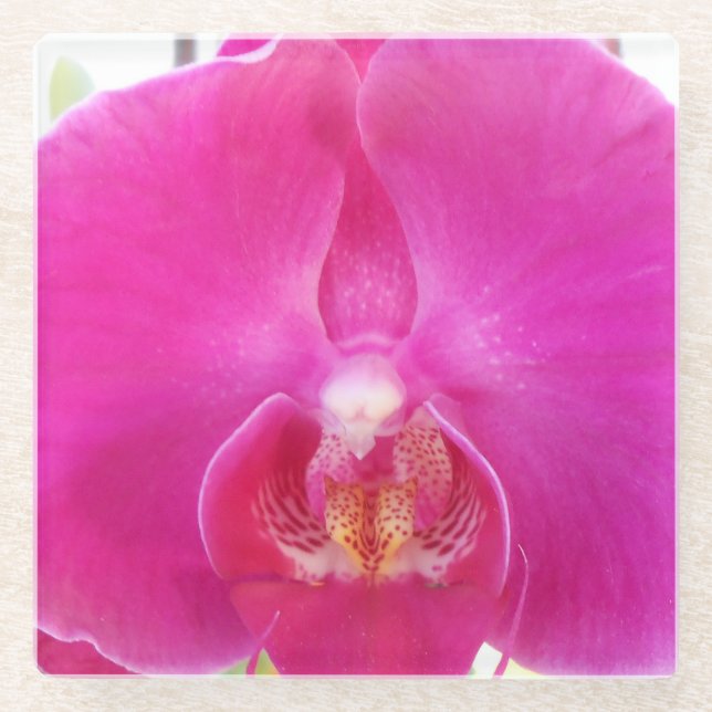 Guda Glasuntersetzer (Vorderseite)