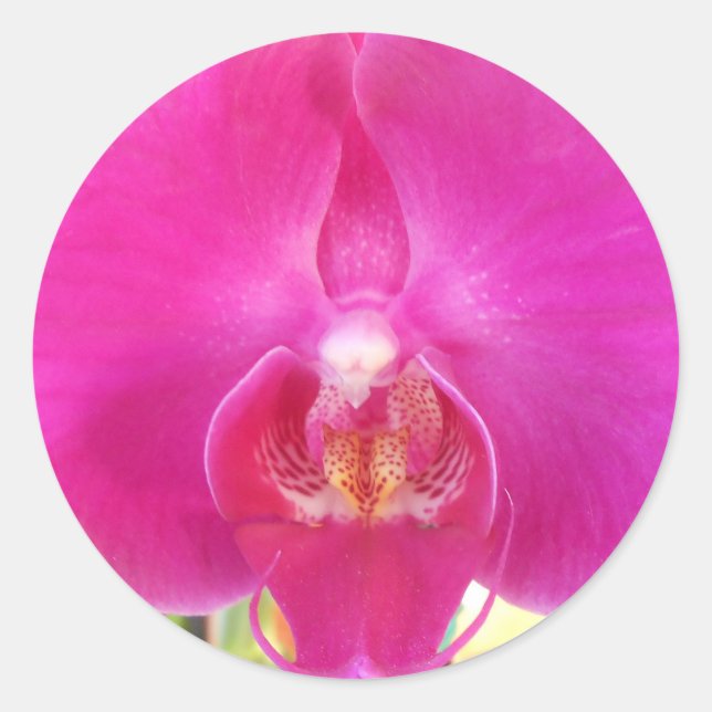 Guda Runder Aufkleber (Vorderseite)