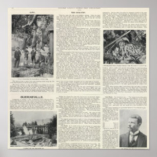 Guerneville, Kalifornien Poster