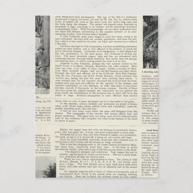 Guerneville, Kalifornien Postkarte (Vorderseite)