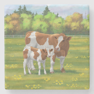 Guernsey Kuh & Niedlich Calf im Sommer Weide Steinuntersetzer