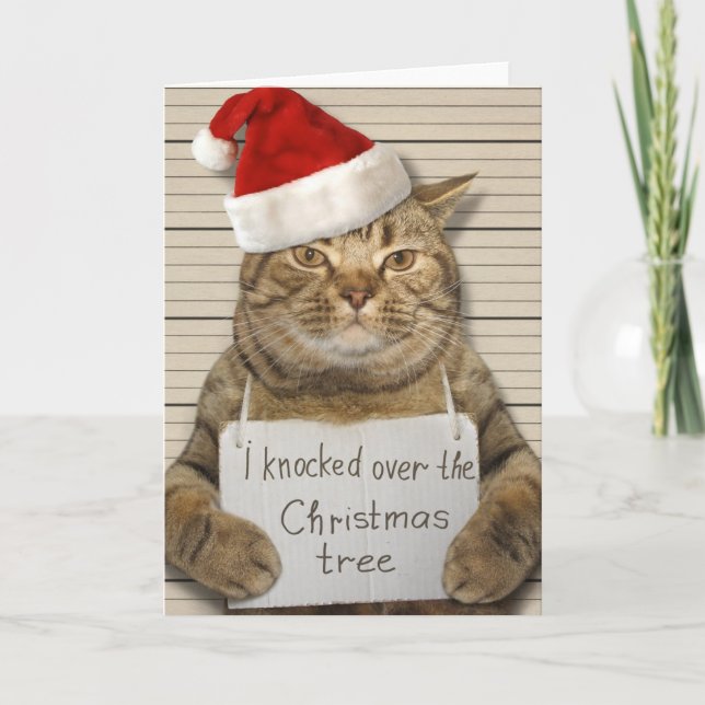 Guilty Cat in der Weihnachtsmannmütze Weihnachtska Karte (Vorderseite)