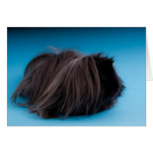 Guinea