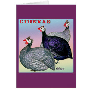 Guinea