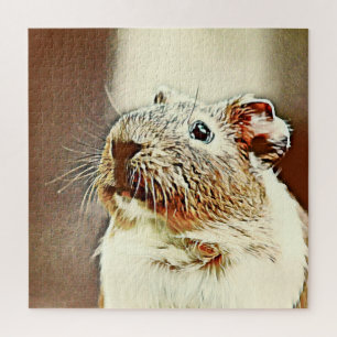 Guinea