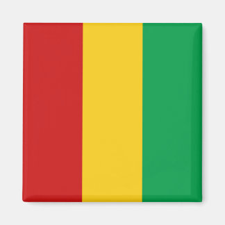 Guinea-Conakry-Flag-Magnet Magnet