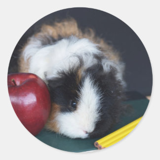 Guinea der Kinderschule Schweinekleber Runder Aufkleber