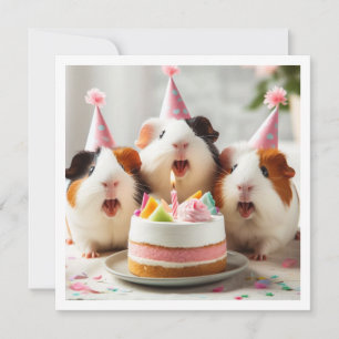 Guinea, die Kuchen fressen, Guinea Schweine Geburt Einladung