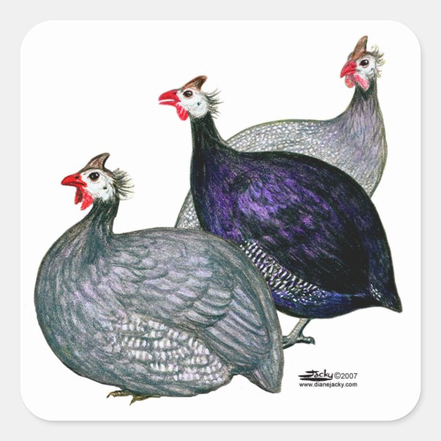 Guinea drei quadratischer aufkleber (Vorderseite)