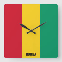 Guinea-Flagge Strahlend Patriotisch