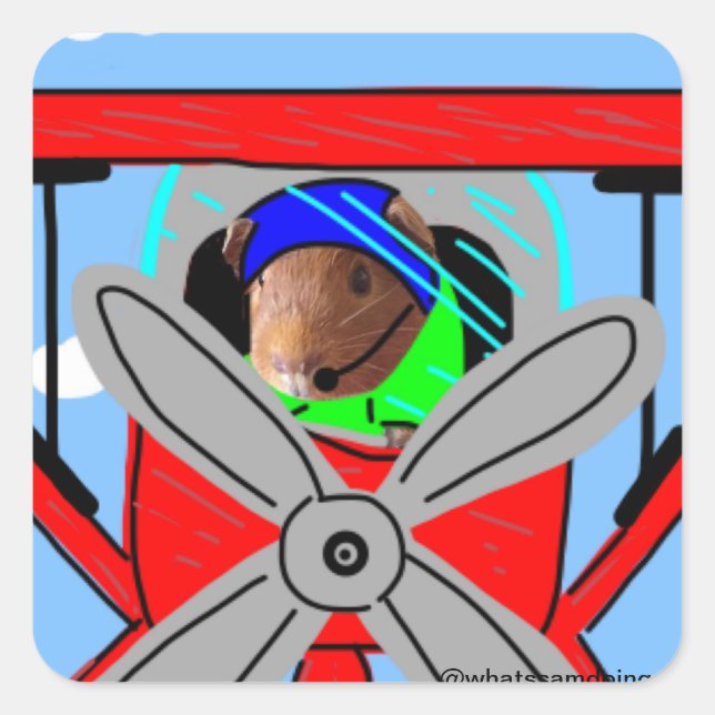 Guinea-Flugzeug-Pilotenaufkleber Quadratischer Aufkleber (Vorderseite)
