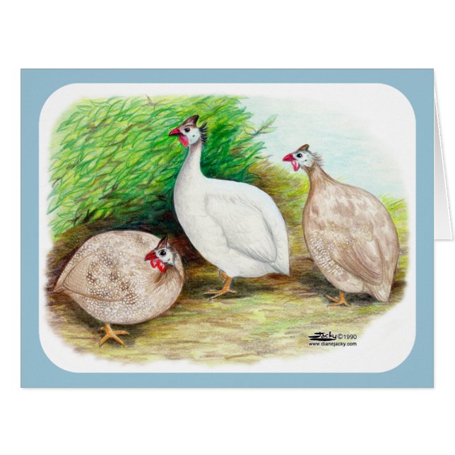 Guinea Fowl Außenbereich (Vorderseite (Horizontal))