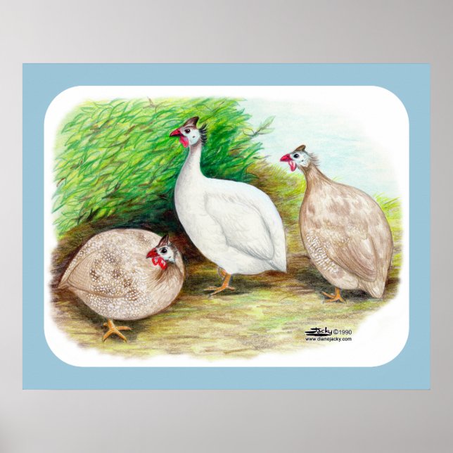 Guinea Fowl Außenbereich Poster (Vorne)