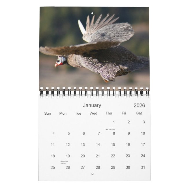 Guinea Fowl Calendar for 2012 Kalender (Jan 2026)