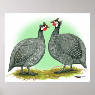 Guinea:  Französisch Poster