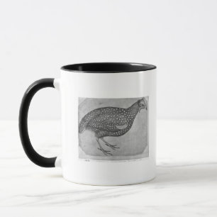 Guinea-Geflügel, vom Vallardi Album Tasse